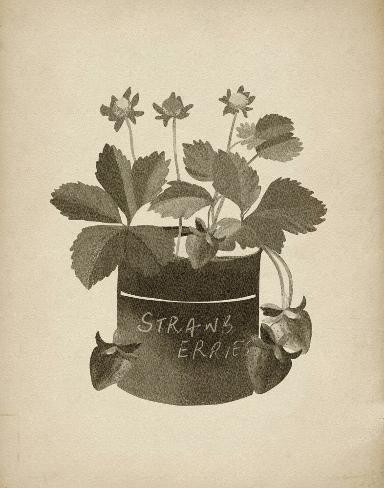 Vintage Strawberry Illustration | Canvas