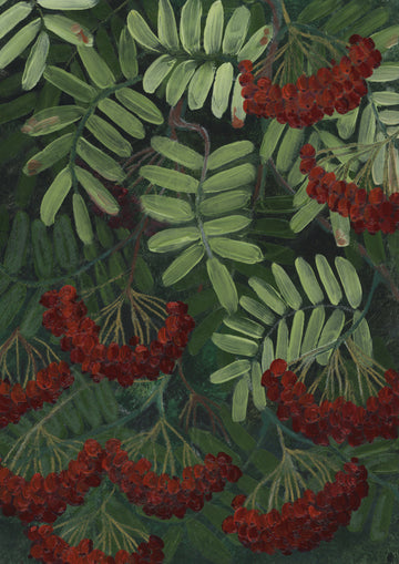 Vibrant Rowan Berries | Canvas