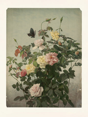 Roses | Poster