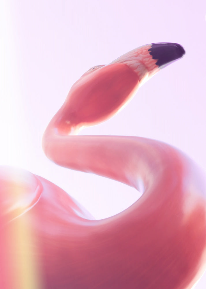 Graceful Pink Flamingo | Canvas