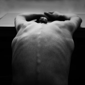 Snail on Human Back | Poster