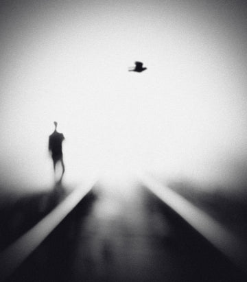 Solitary Man Flying Bird | Canvas