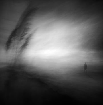 Lone Man Misty Horizon | Canvas