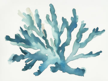 Turqoiuse Coral | Canvas
