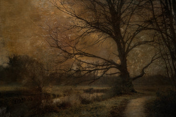 Old tree | Canvas