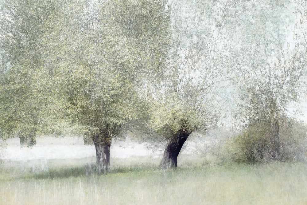 Young green | Canvas