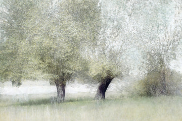 Young green | Canvas