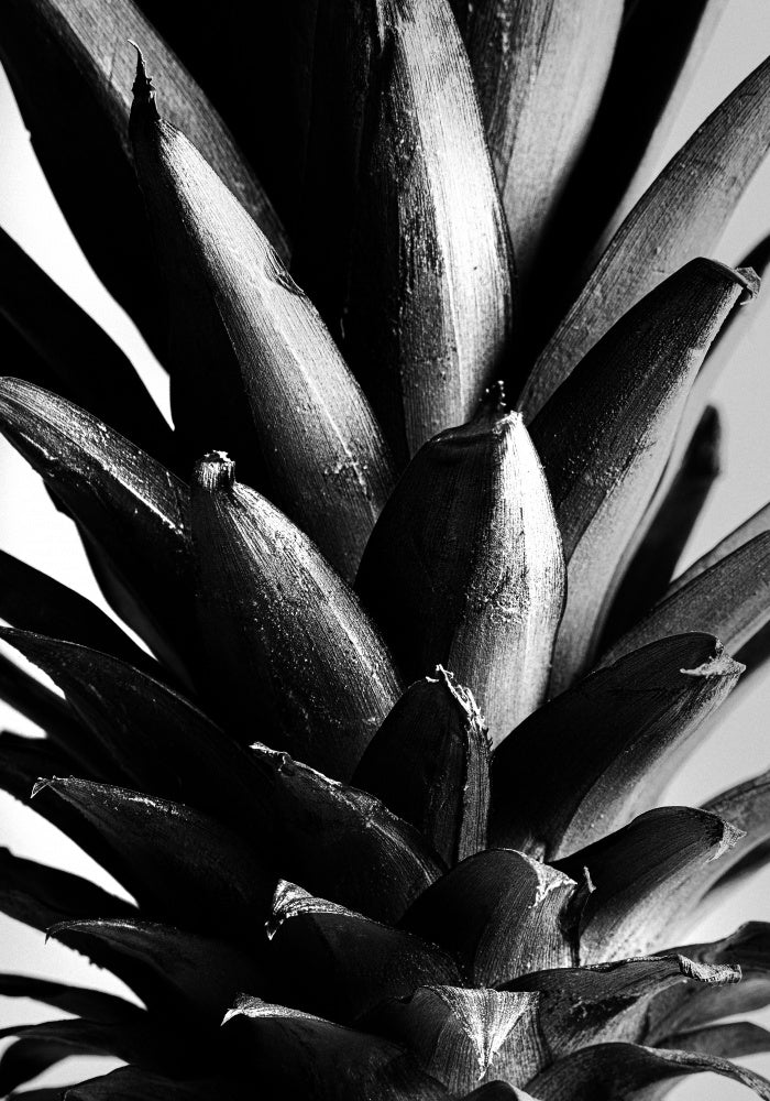 Bold Pineapple Texture | Canvas