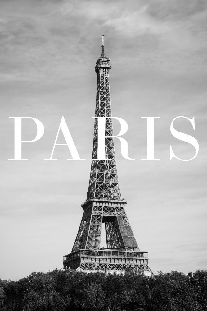 Eiffel Tower Paris | Canvas