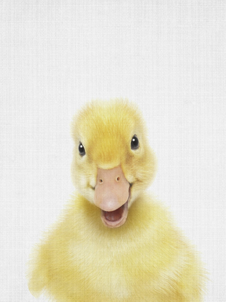 Smiling Baby Duck | Canvas