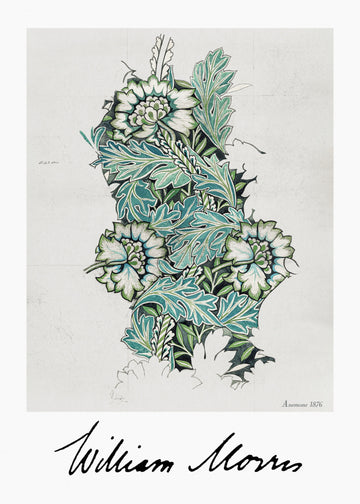 Anemone | Canvas
