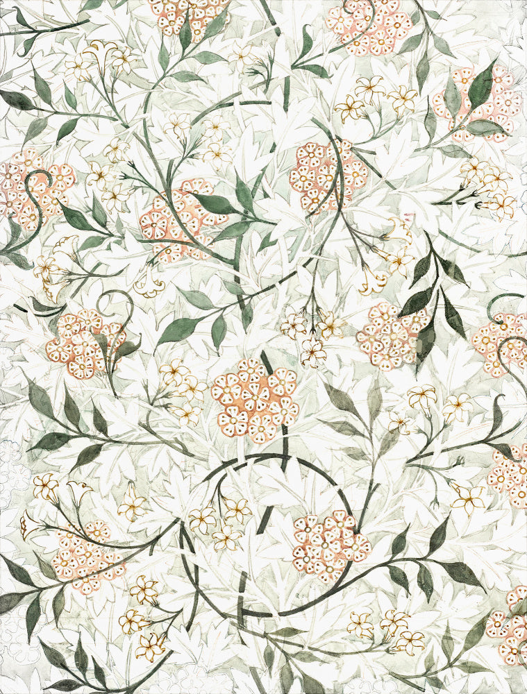 Floral | Canvas