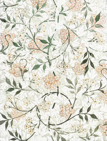 Floral | Canvas
