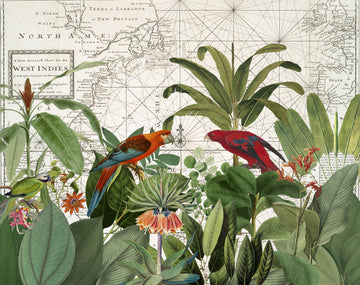 Tropical Map Exploration | Poster