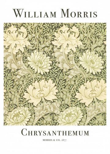 Chrysanthemum | Poster