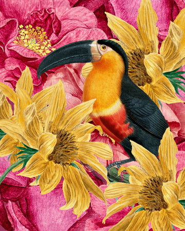 Vibrant Toucan and Flowers | Canvas