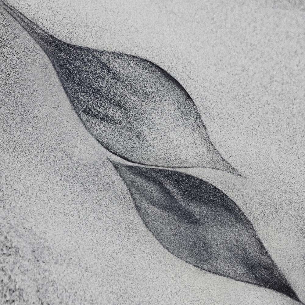 Grey Organic Leaves | Canvas
