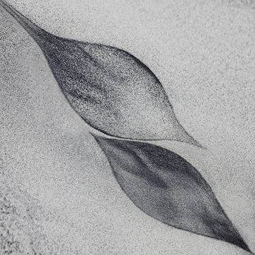 Grey Organic Leaves | Poster