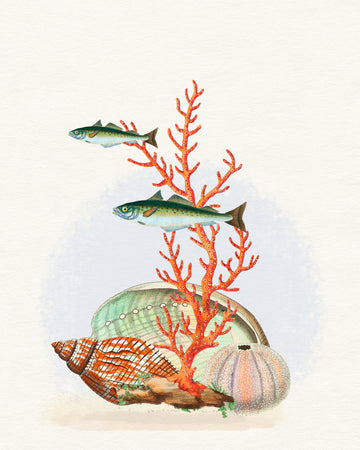 Marine Life Collection | Poster
