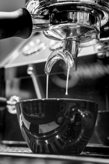 Fresh Espresso Brew | Canvas