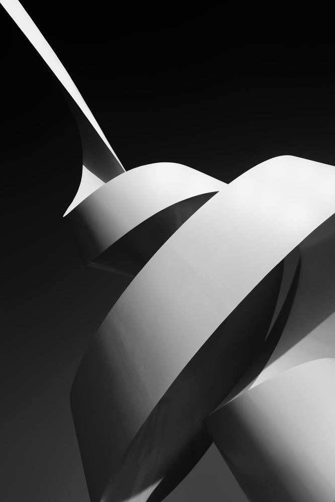 Modern Abstract Curves | Canvas