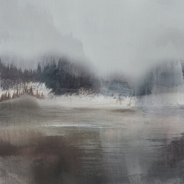 Forest Lake | Canvas