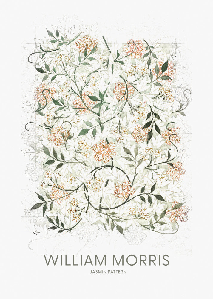 Jasmine | Canvas