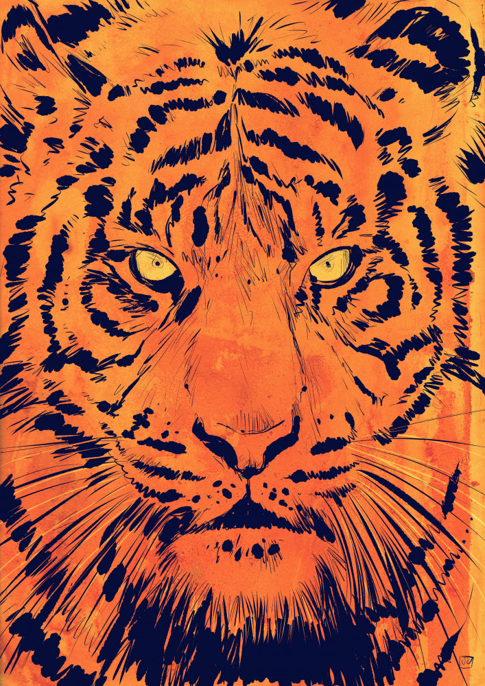 Intense Tiger Gaze | Canvas