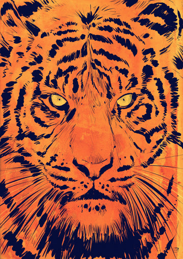 Intense Tiger Gaze | Canvas