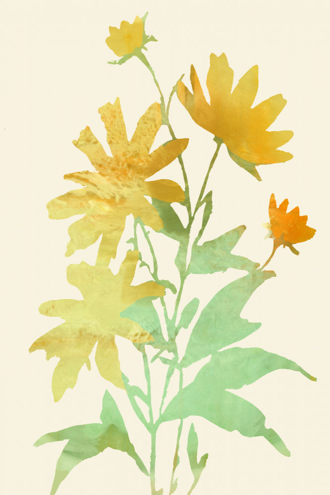 Yellow Botanical Bloom | Canvas