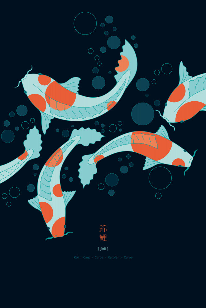 Graceful Koi Swim | Poster