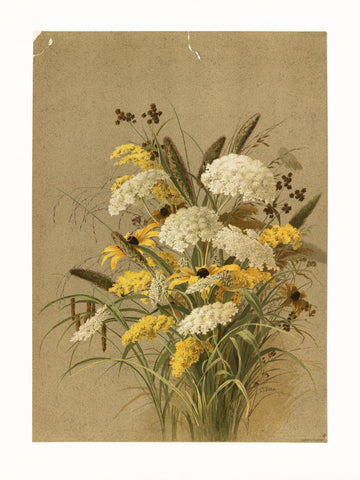 Hemlock, Ox Eye Grasses and Golden Rod | Canvas
