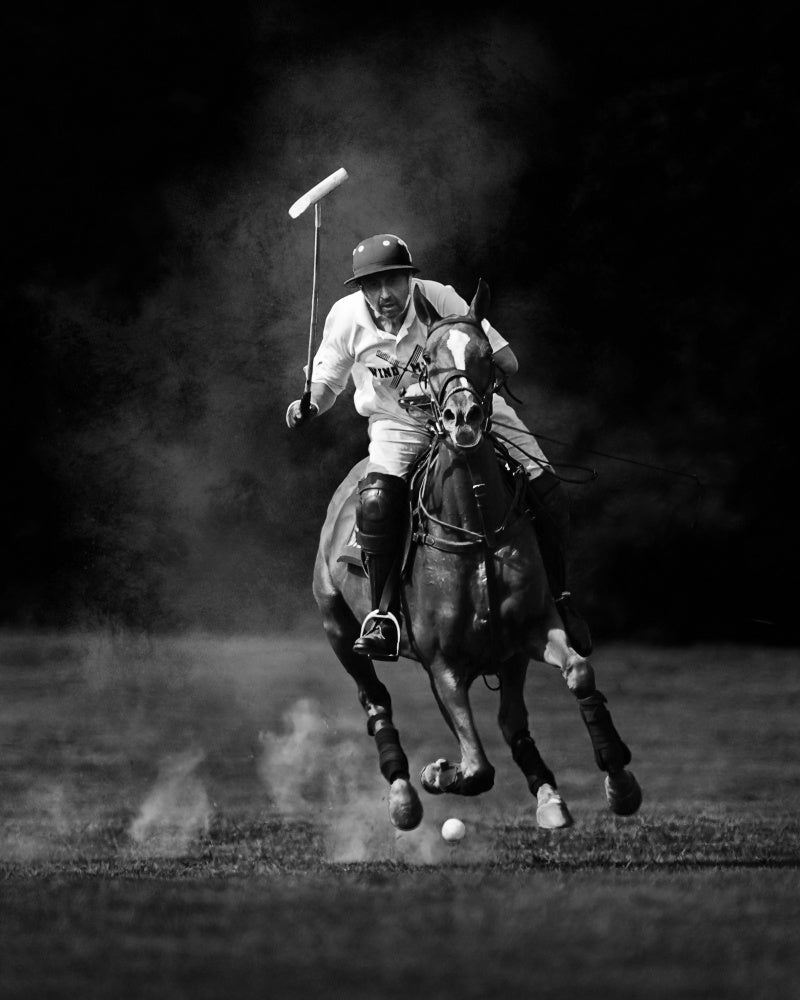 Dynamic Polo Action | Canvas