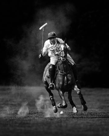 Dynamic Polo Action | Poster