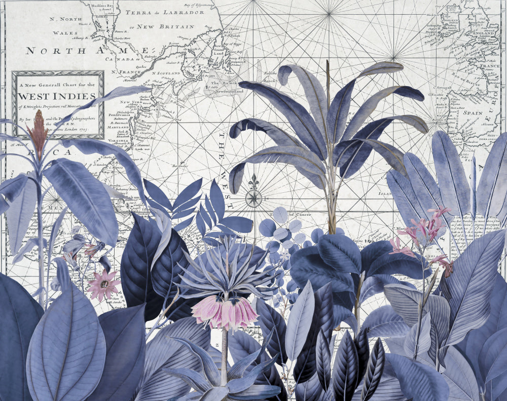 Blue Tropical Map | Poster