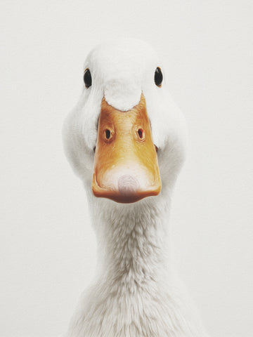 Funny Duck Face | Poster