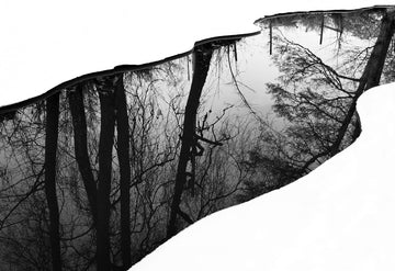 Winter Tree Reflection | Canvas