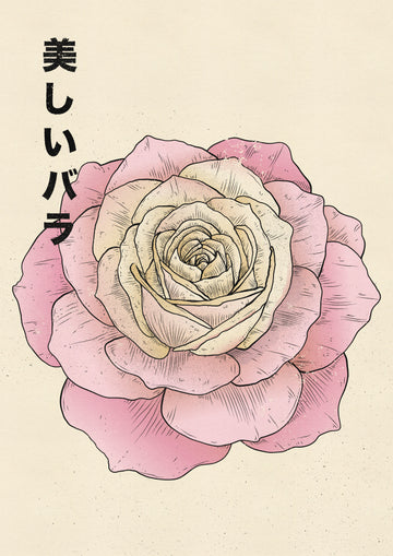 Beautiful Japanese Rose | Poster
