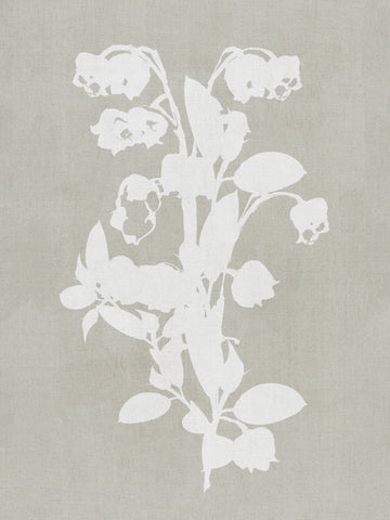 White Botanical Blooms | Canvas