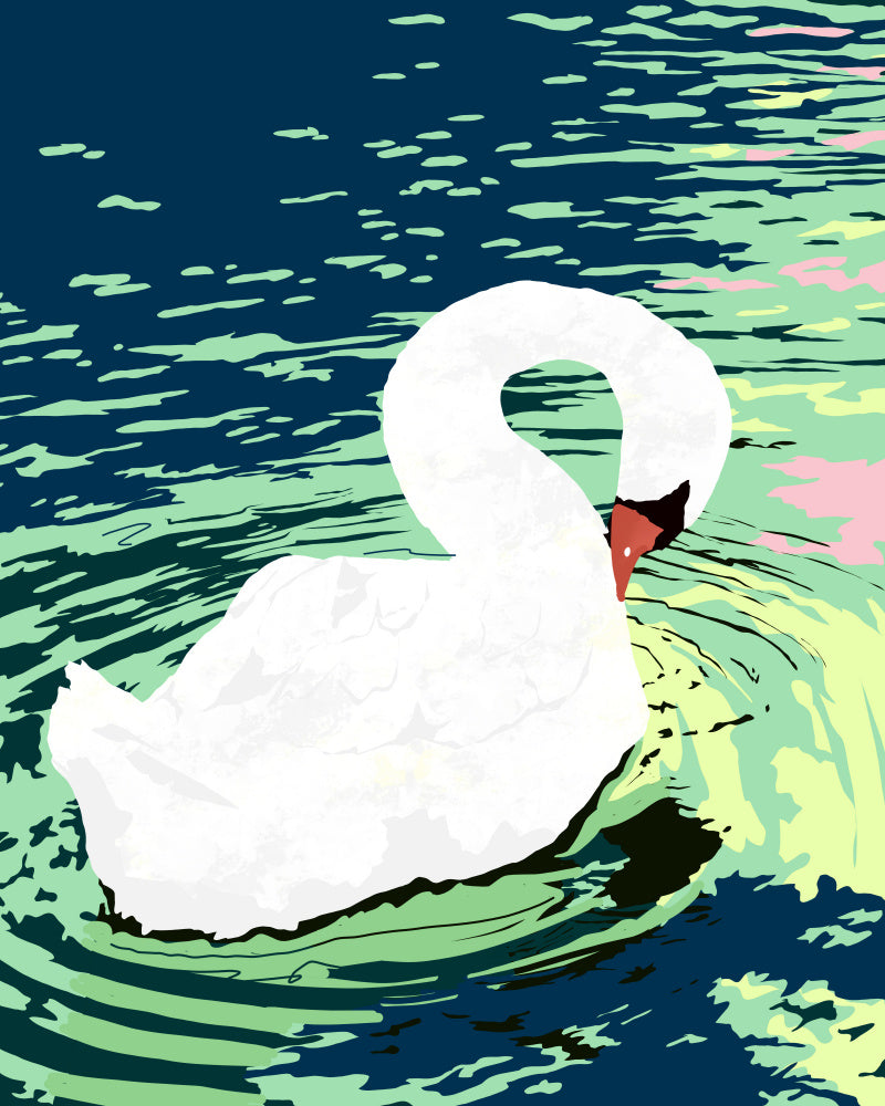 Graceful Swan on Water | Poster
