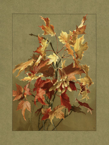 Autumn Leaves, Maple | Canvas