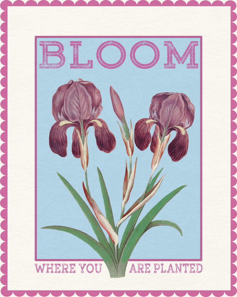 Purple Irises Bloom Quote | Canvas