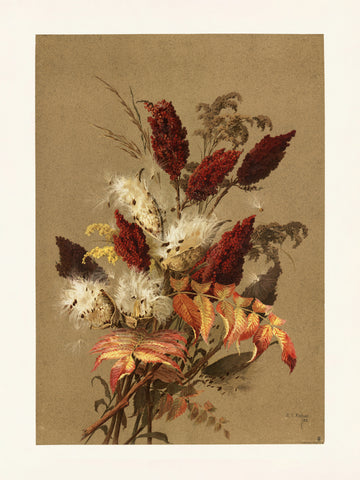 Sumac and Milkweed By Ellen Thayer Fisher | Canvas