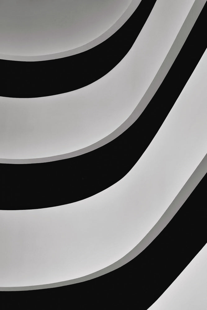 Minimalist Curved Lines | Canvas