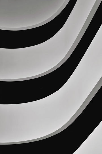 Minimalist Curved Lines | Canvas