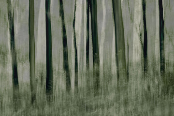Trees in motion | Poster