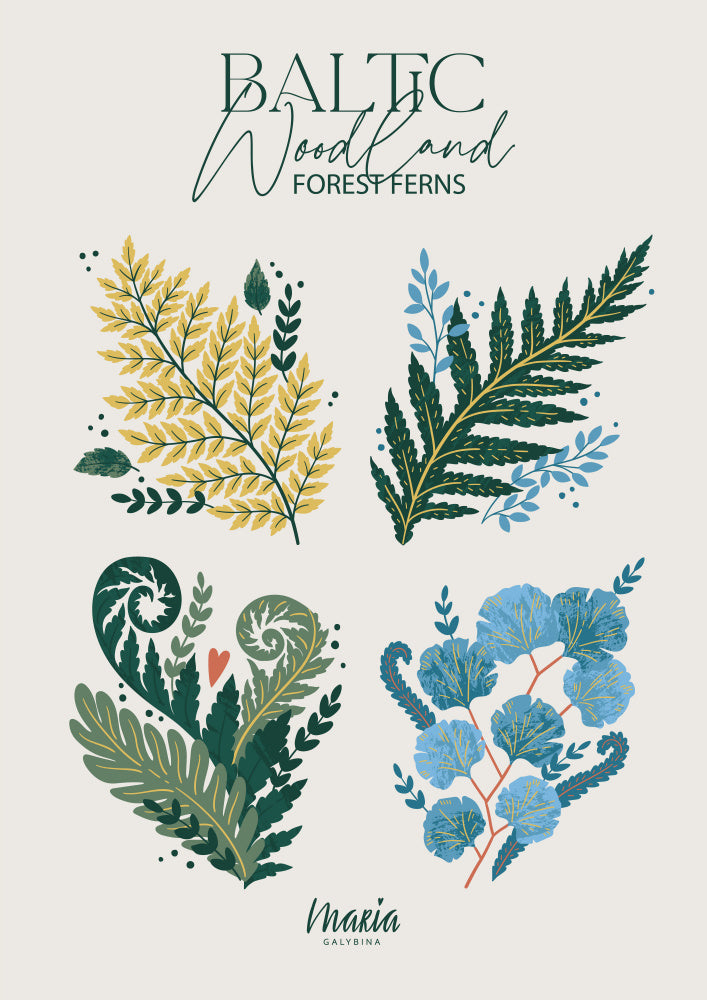 Baltic Woodland Ferns | Canvas