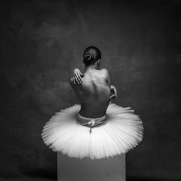 Graceful Ballerina Back | Canvas