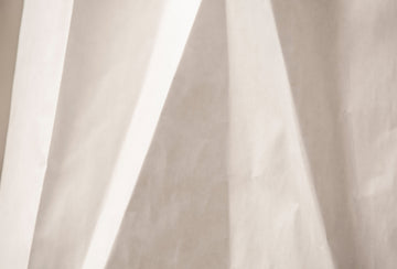 Paper Studies 35 | Canvas