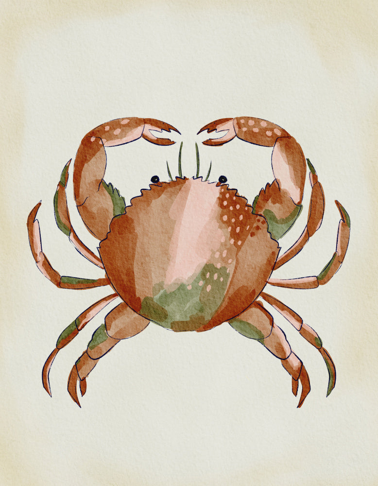 Watercolor Crab | Canvas